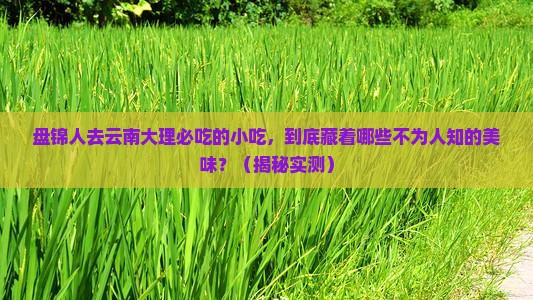 盘锦去云南大理旅游小吃