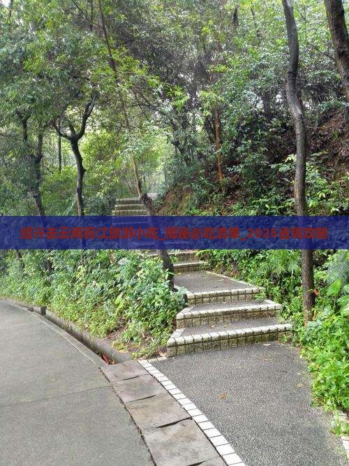 绍兴去云南丽江旅游小吃