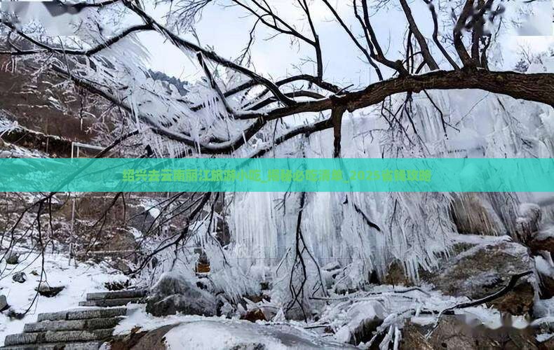 绍兴去云南丽江旅游小吃