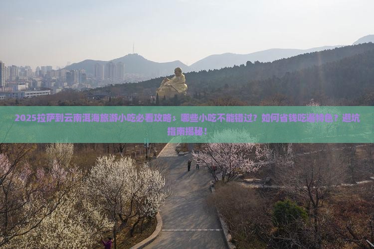 拉萨到云南洱海旅游小吃