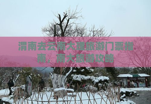 渭南去云南大理门票