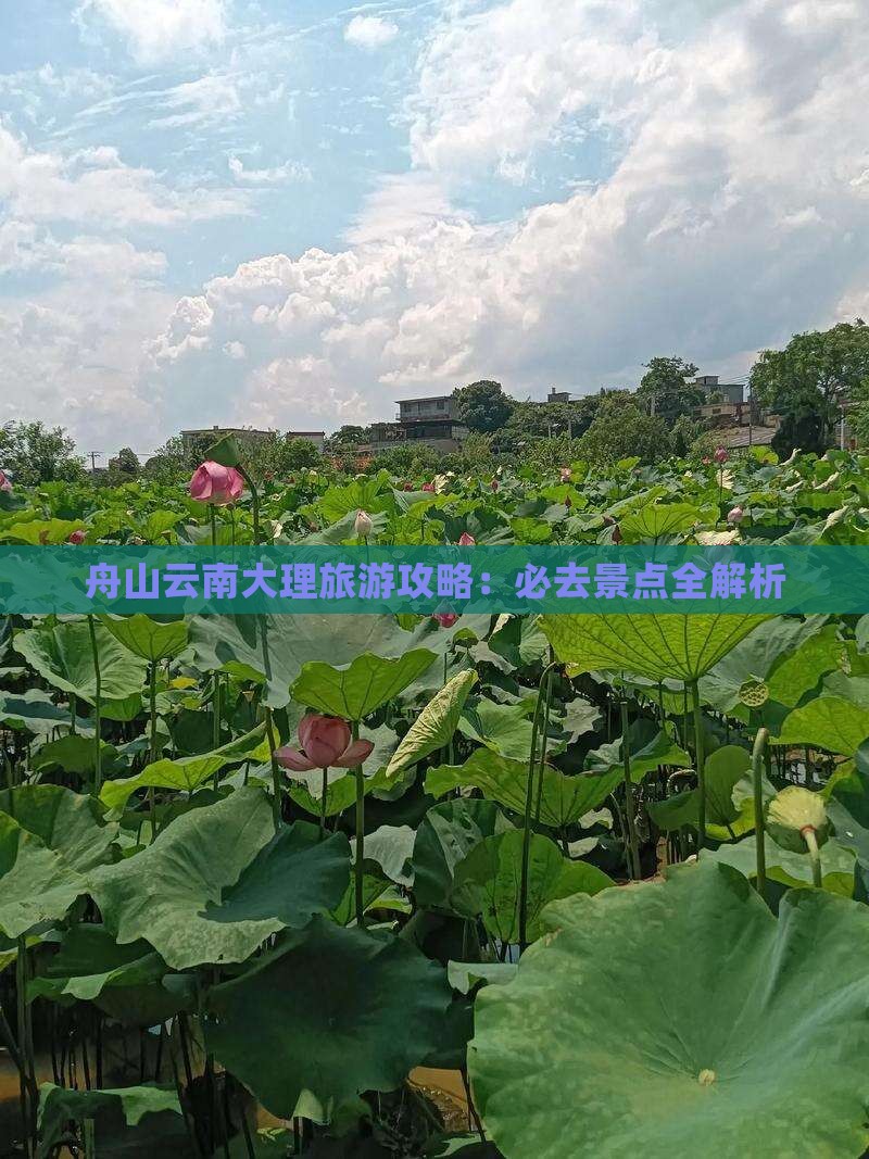 舟山去云南大理旅游