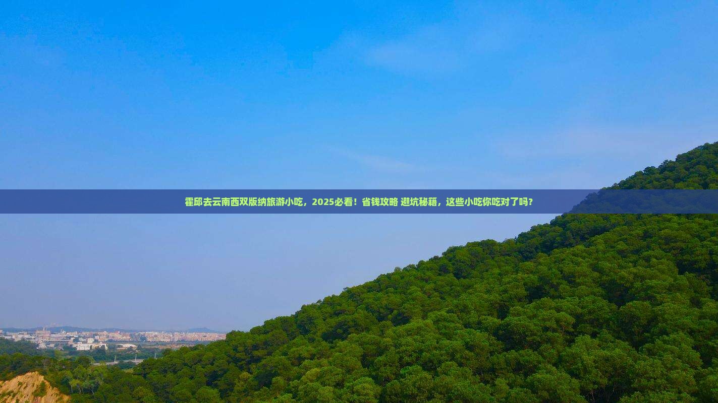 霍邱去云南西双版纳旅游小吃