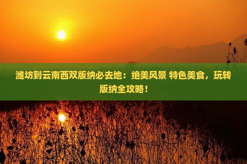 潍坊到云南西双版纳必去地