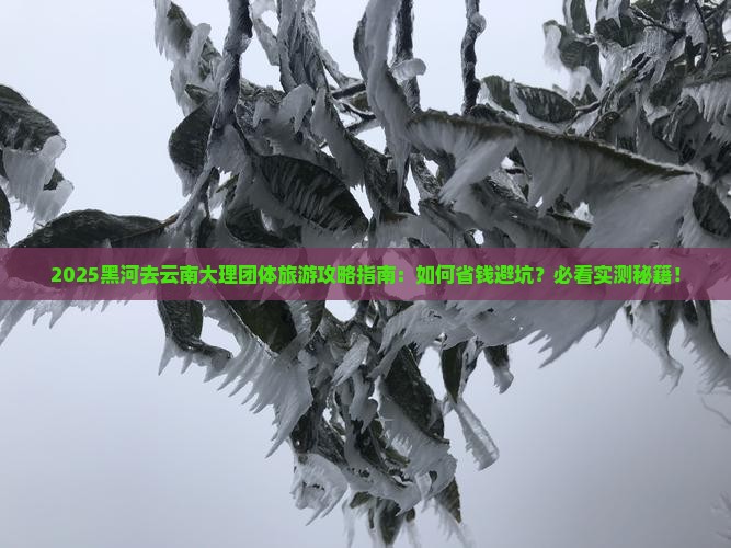 黑河去云南大理团体旅游