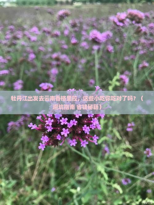 牡丹江去云南香格里拉旅游小吃