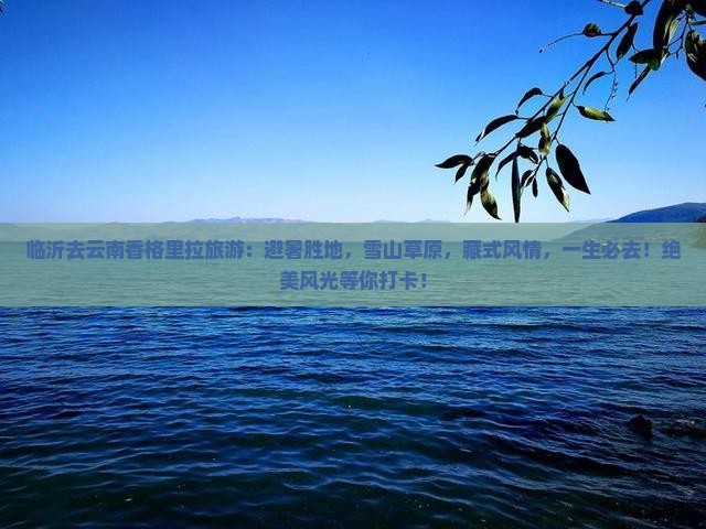 临沂去云南香格里拉旅游