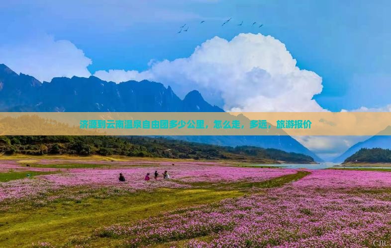 济源到云南温泉自由团