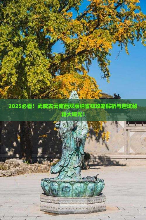 武威去云南西双版纳攻略