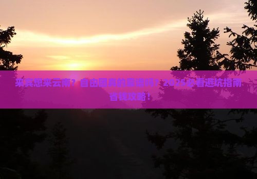 来宾到云南自由团