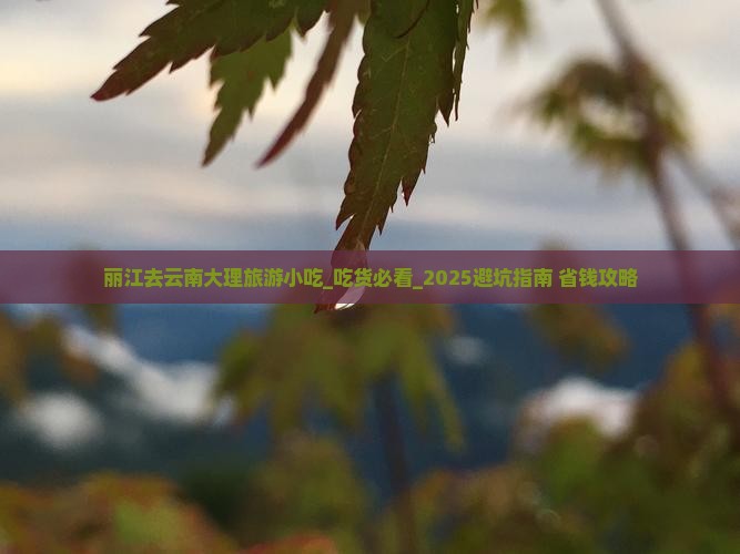 丽江去云南大理旅游小吃