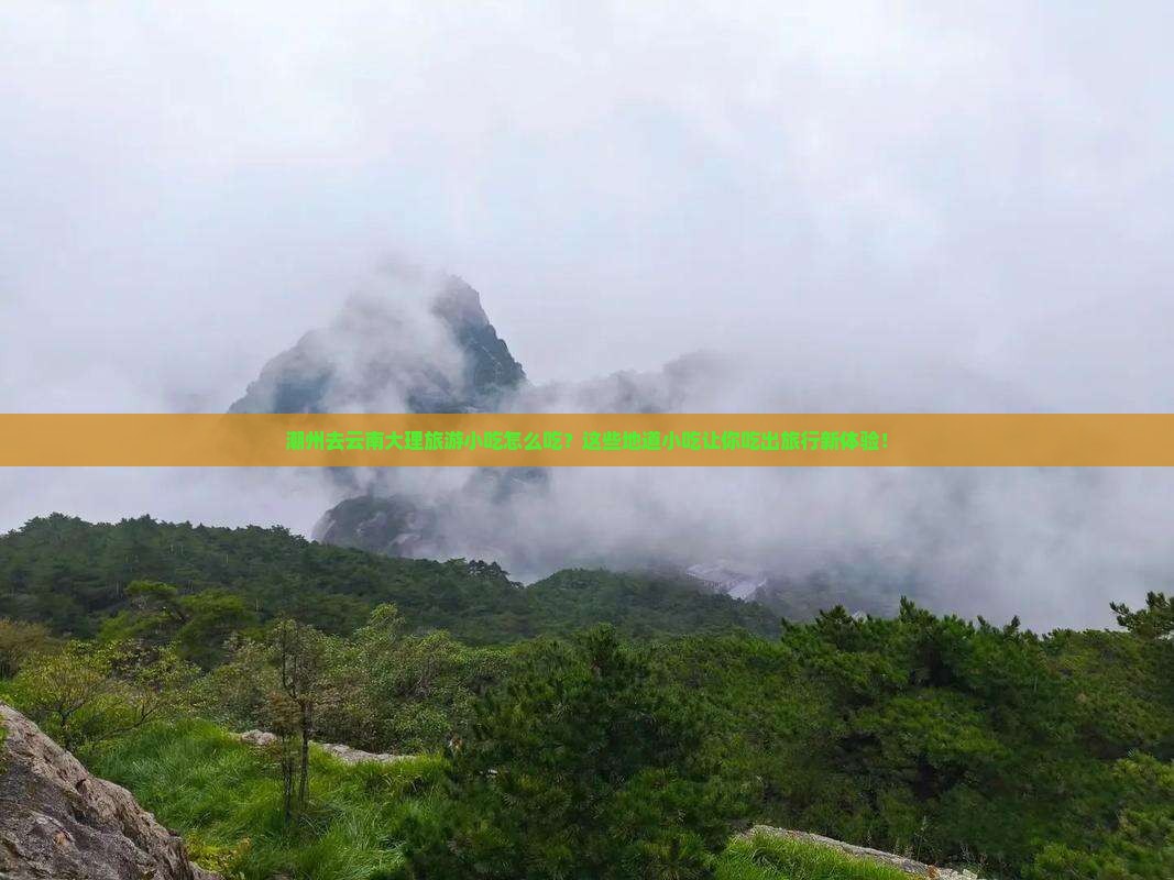 潮州去云南大理旅游小吃