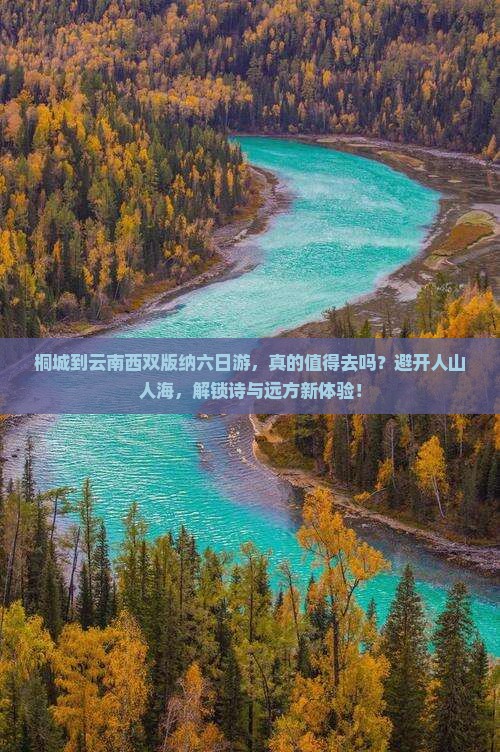 桐城到云南西双版纳六日游