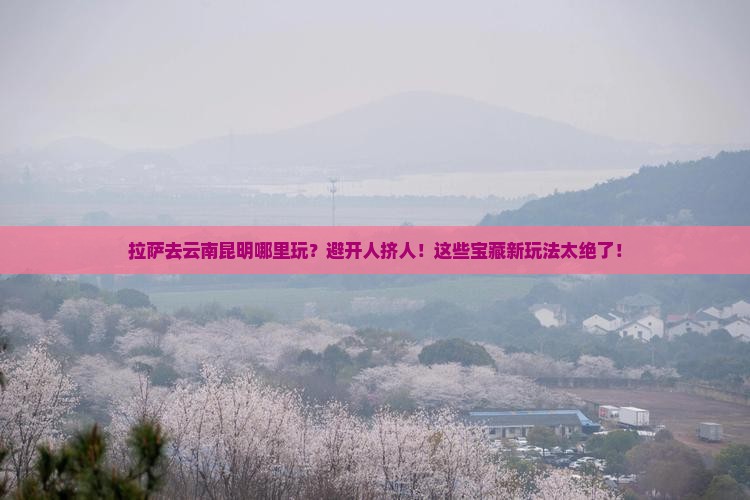 拉萨去云南昆明哪里玩