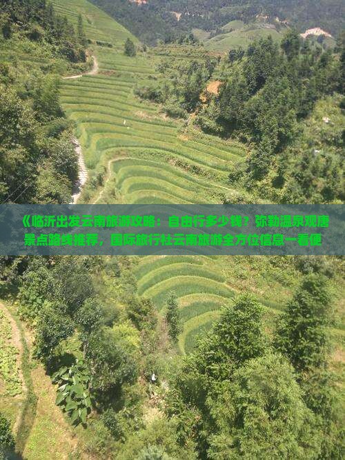 《临沂出发云南旅游攻略：自由行多少钱？弥勒温泉观唐景点路线推荐，国际旅行社云南旅游全方位信息一看便知》