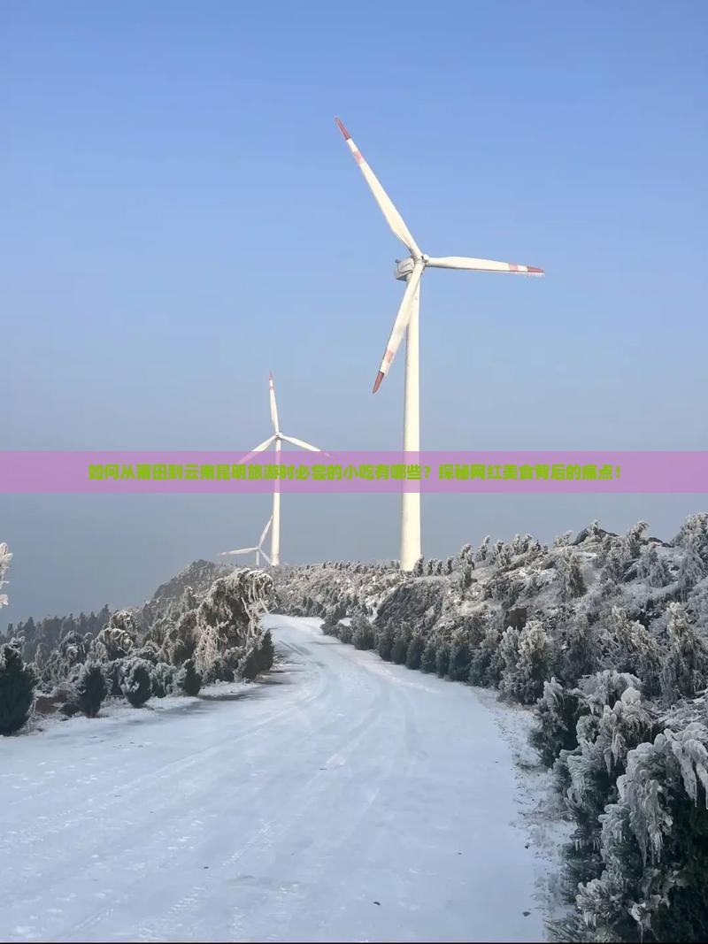 如何从莆田到云南昆明旅游时必尝的小吃有哪些？探秘网红美食背后的痛点！