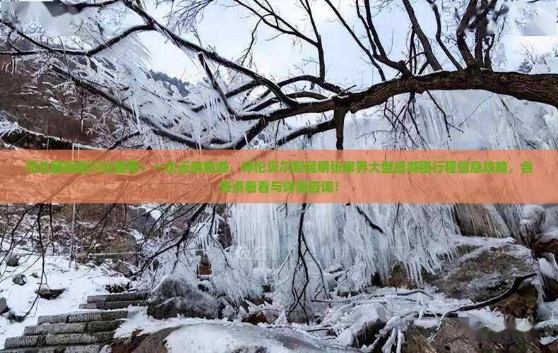 河北国际旅行社推荐：一次云南旅游，呼伦贝尔到昆明张家界大型旅游团行程信息攻略，含景点看看与详细咨询！