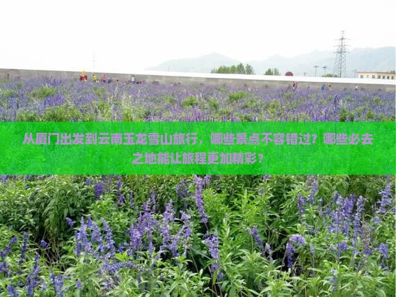 从厦门出发到云南玉龙雪山旅行，哪些景点不容错过？哪些必去之地能让旅程更加精彩？