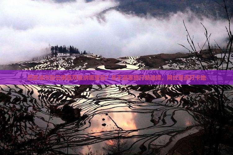 巴彦淖尔到云南西双版纳哪里玩？冬天避寒旅行新选择，网红景点打卡地
