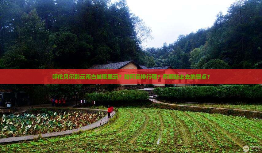 呼伦贝尔到云南古城哪里玩？如何安排行程？有哪些必去的景点？