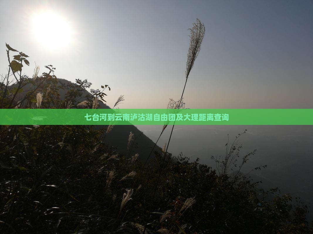 七台河到云南泸沽湖自由团及大理距离查询