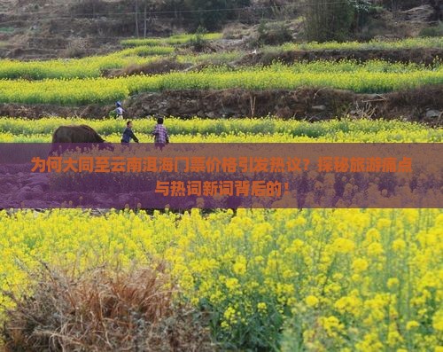 为何大同至云南洱海门票价格引发热议？探秘旅游痛点与热词新词背后的！