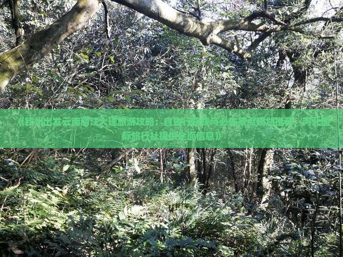 《钦州出发云南丽江大理旅游攻略：自由行路线与必去景点规划推荐，河北国际旅行社提供全面信息》