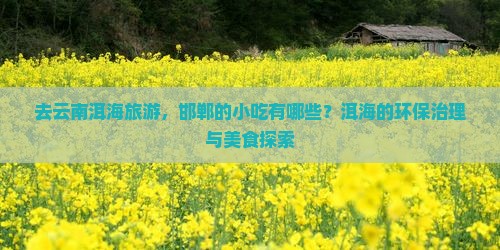 去云南洱海旅游，邯郸的小吃有哪些？洱海的环保治理与美食探索
