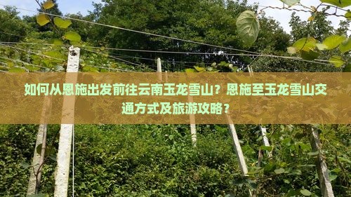 如何从恩施出发前往云南玉龙雪山？恩施至玉龙雪山交通方式及旅游攻略？