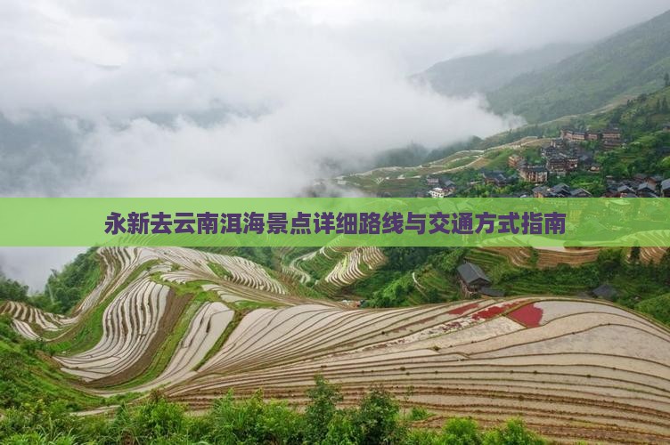 永新去云南洱海景点详细路线与交通方式指南
