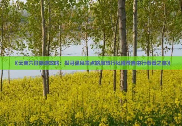《云南六日旅游攻略：探寻温泉景点路犀旅行社推荐自由行看看之旅》