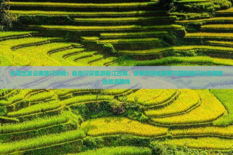 东莞出发云南旅行攻略：自由行深度游丽江古城、张家界景点推荐与国际旅行社导游精选旅游路线