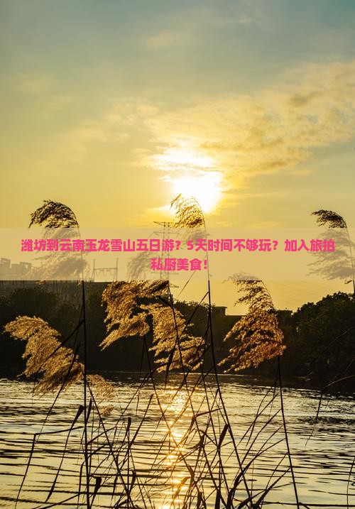 潍坊到云南玉龙雪山五日游？5天时间不够玩？加入旅拍+私厨美食！