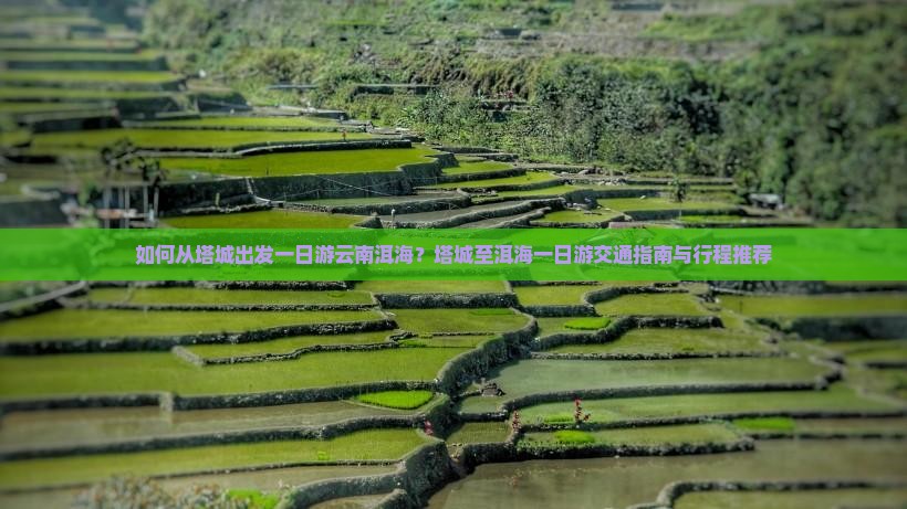 如何从塔城出发一日游云南洱海？塔城至洱海一日游交通指南与行程推荐