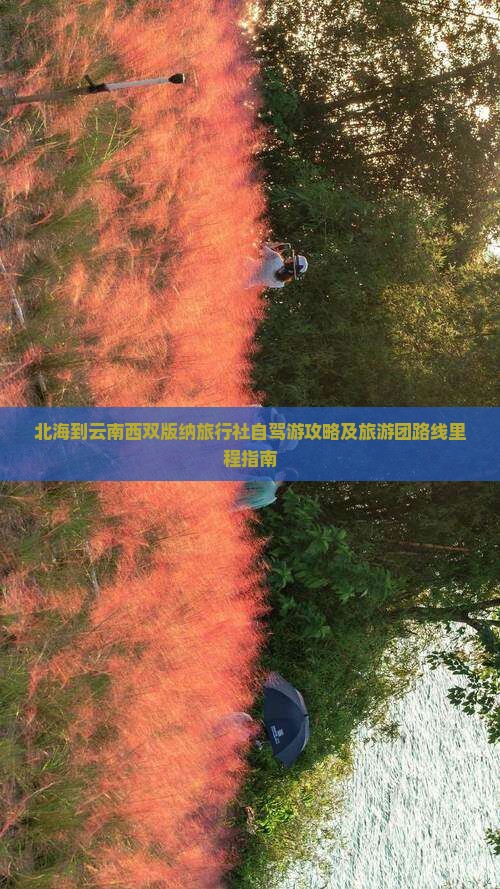 北海到云南西双版纳旅行社自驾游攻略及旅游团路线里程指南