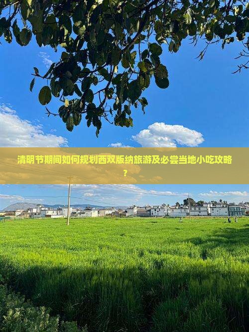 清明节期间如何规划西双版纳旅游及必尝当地小吃攻略？
