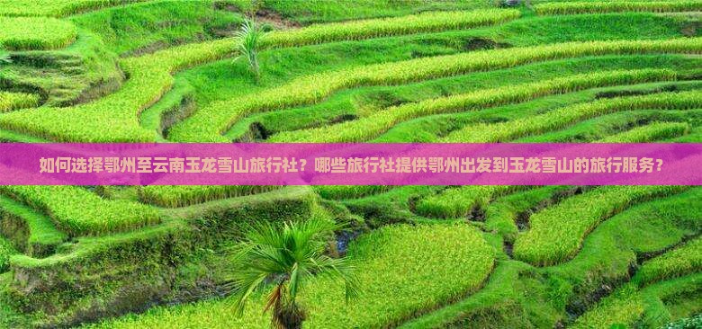 如何选择鄂州至云南玉龙雪山旅行社？哪些旅行社提供鄂州出发到玉龙雪山的旅行服务？