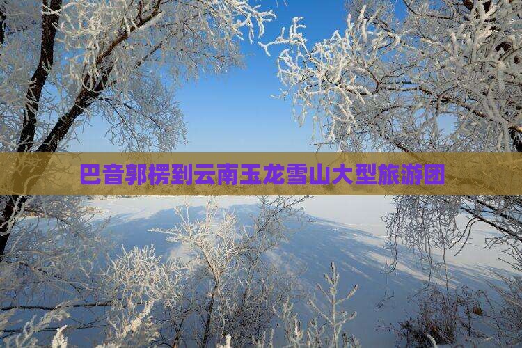 巴音郭楞到云南玉龙雪山大型旅游团