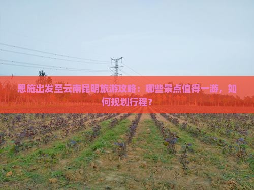 恩施出发至云南昆明旅游攻略：哪些景点值得一游，如何规划行程？