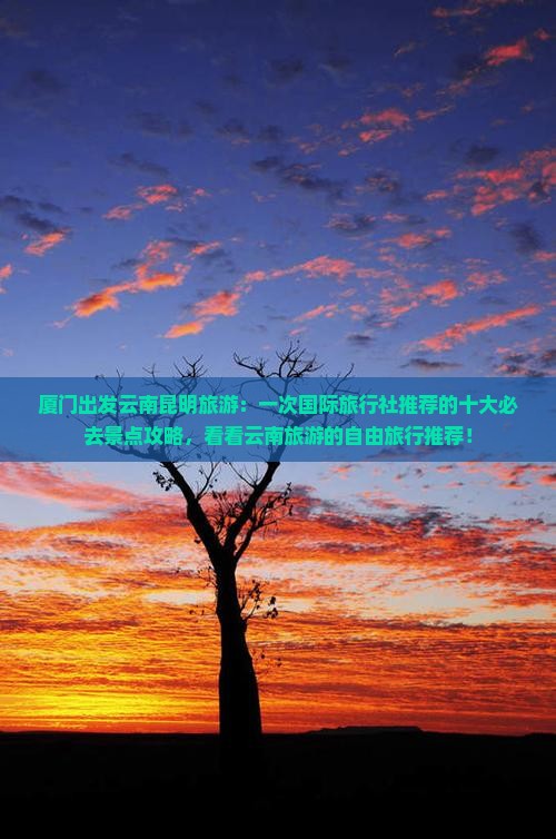 厦门出发云南昆明旅游：一次国际旅行社推荐的十大必去景点攻略，看看云南旅游的自由旅行推荐！
