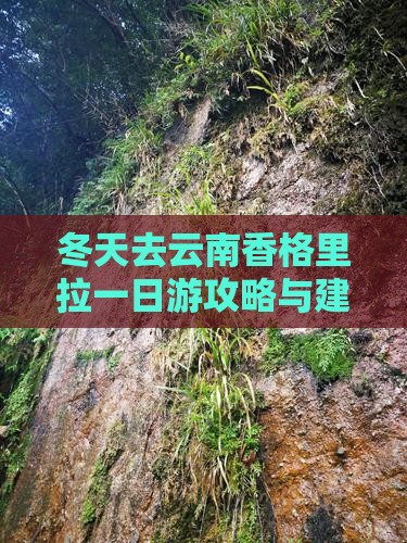 冬天去云南香格里拉一日游攻略与建议