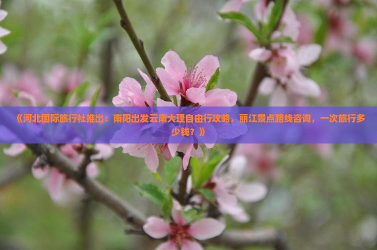 《河北国际旅行社推出：南阳出发云南大理自由行攻略，丽江景点路线咨询，一次旅行多少钱？》