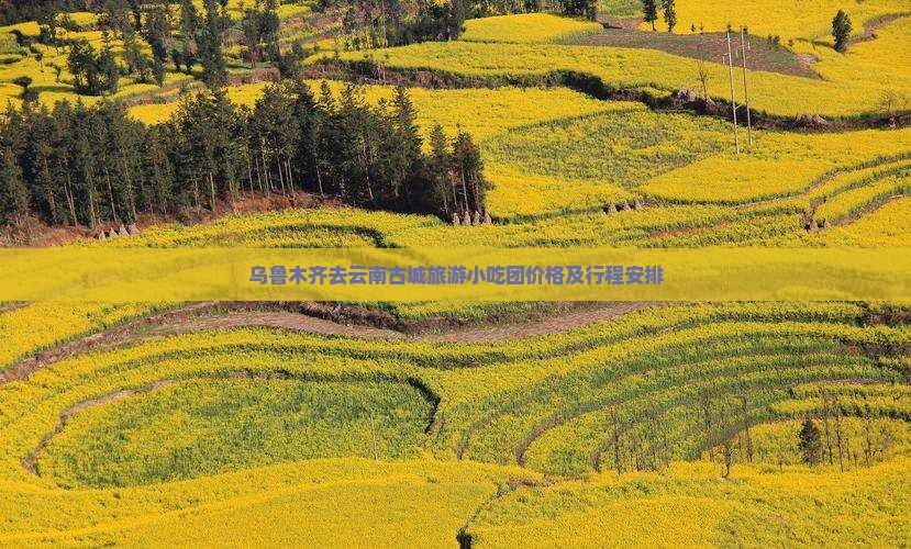 乌鲁木齐去云南古城旅游小吃团价格及行程安排