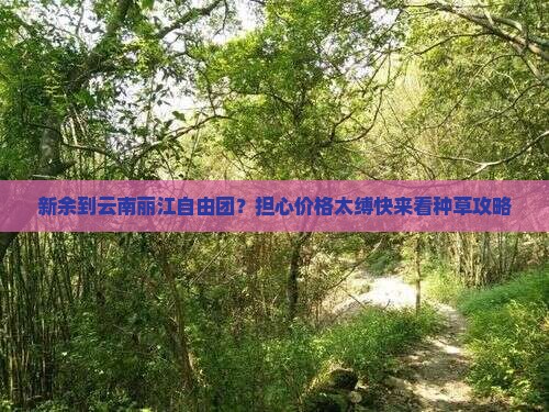 新余到云南丽江自由团？担心价格太缚快来看种草攻略