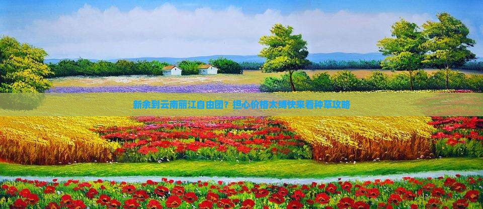 新余到云南丽江自由团？担心价格太缚快来看种草攻略
