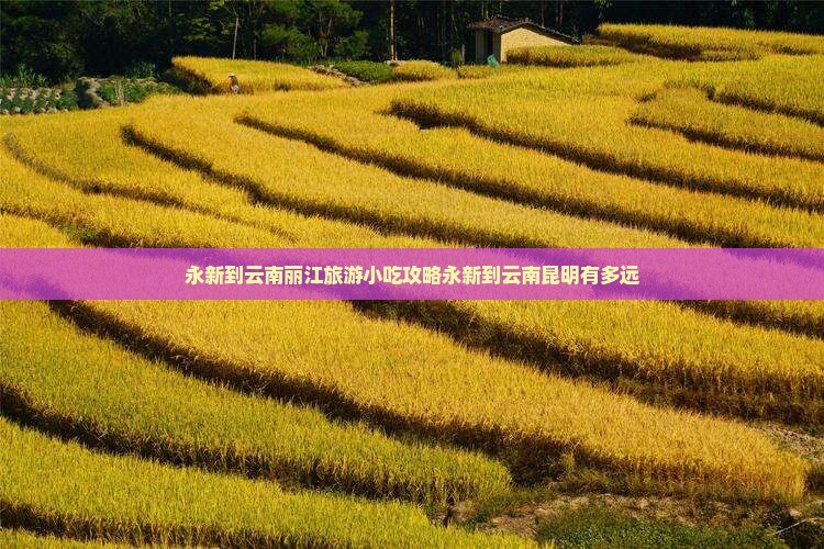 永新到云南丽江旅游小吃攻略永新到云南昆明有多远