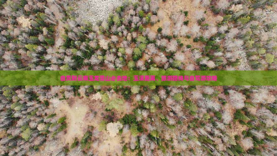 自贡到云南玉龙雪山必去地：玉溪距离、旅游路线与自驾游攻略