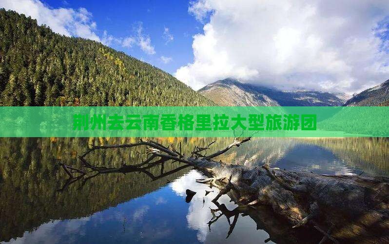 荆州去云南香格里拉大型旅游团