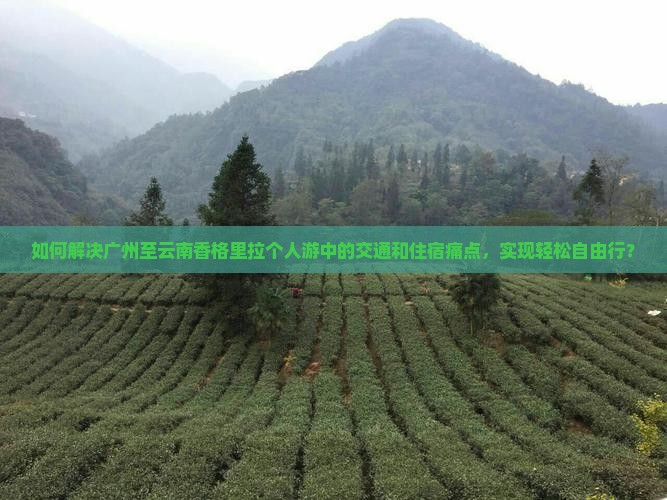 如何解决广州至云南香格里拉个人游中的交通和住宿痛点，实现轻松自由行？
