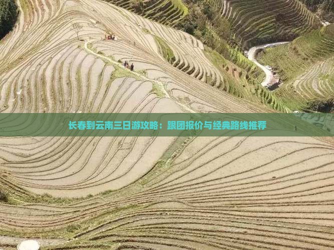 长春到云南三日游攻略：跟团报价与经典路线推荐